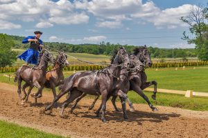 Is Legal Indian Horse Racing Betting India 2027 Legal in India? Complete 2026 Guide